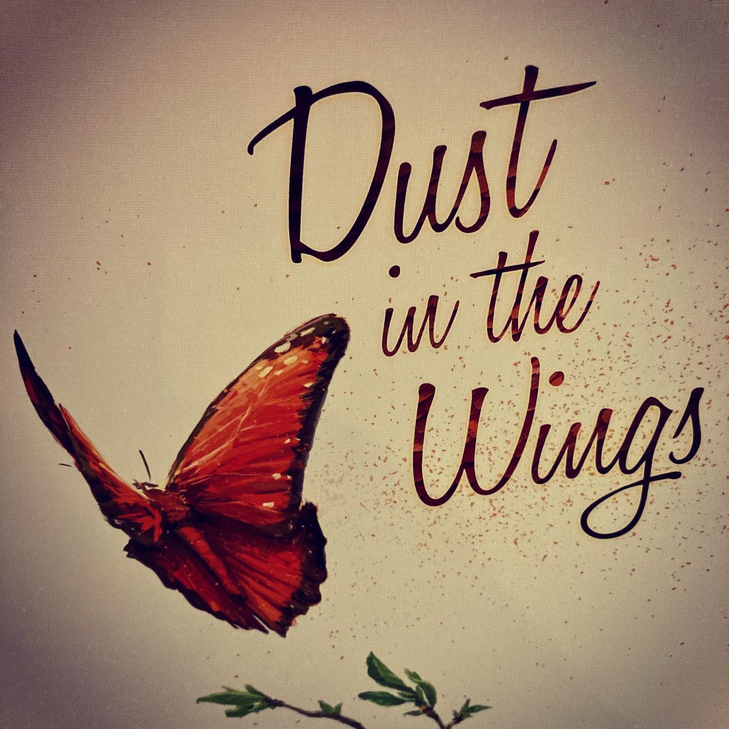 Dust in the Wings - náhled krabice